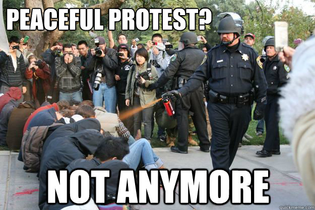 Peaceful protest? Not anymore - Peaceful protest? Not anymore  asshole cop