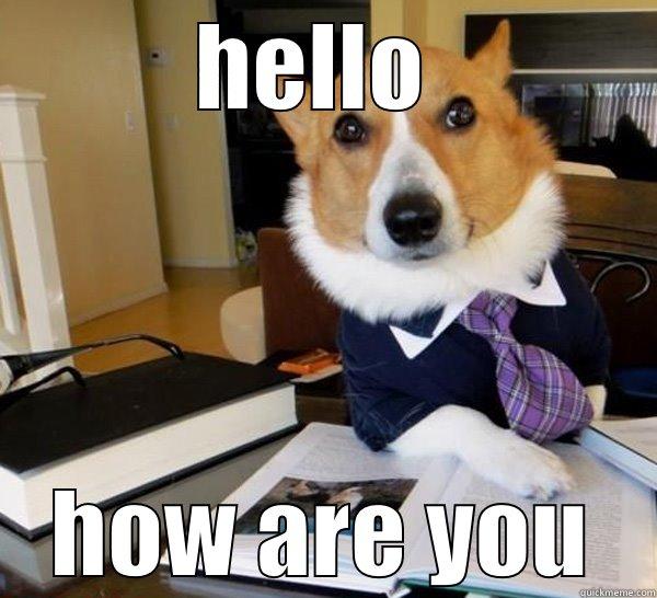 HELLO  HOW ARE YOU Lawyer Dog