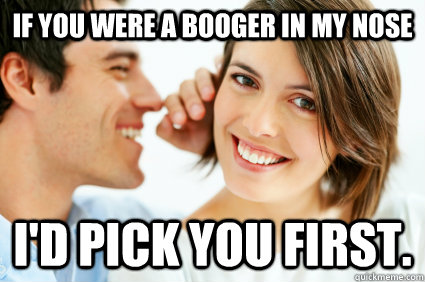 If you were a booger in my nose I'd pick you first.  Bad Pick-up line Paul