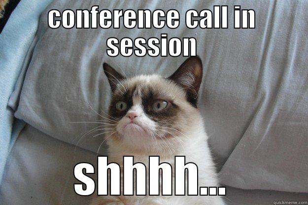 CONFERENCE CALL IN SESSION SHHHH... Grumpy Cat