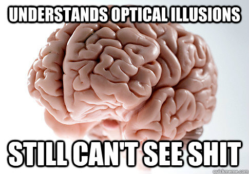 understands optical illusions still can't see shit  Scumbag Brain