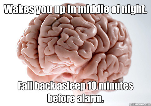 Wakes you up in middle of night. Fall back asleep 10 minutes before alarm.   Scumbag Brain