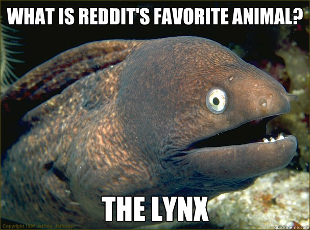 What is reddit's favorite animal? The lynx  Bad Joke Eel