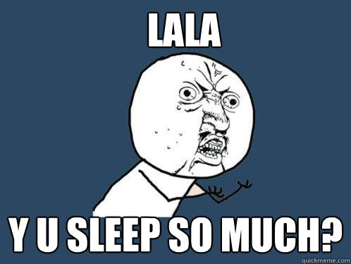 Lala y u sleep so much?   Y U No