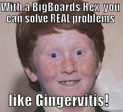 sd ggg - WITH A BIGBOARDS HEX  YOU CAN SOLVE REAL PROBLEMS     LIKE GINGERVITIS!     Over Confident Ginger