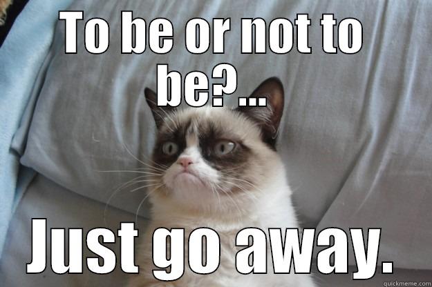 TO BE OR NOT TO BE?... JUST GO AWAY. Grumpy Cat