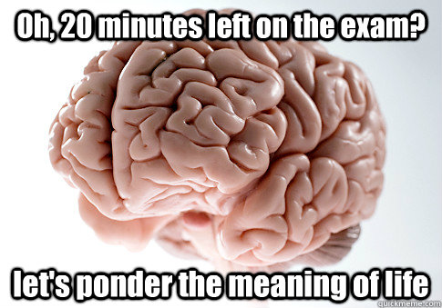 Oh, 20 minutes left on the exam? let's ponder the meaning of life - Oh, 20 minutes left on the exam? let's ponder the meaning of life  Scumbag Brain