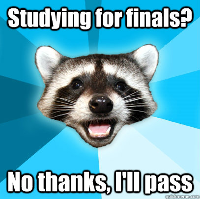Studying for finals? No thanks, I'll pass - Studying for finals? No thanks, I'll pass  Lame Pun Coon