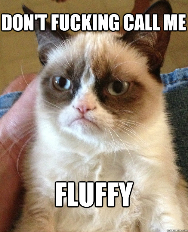 Don't Fucking call me fluffy  Grumpy Cat