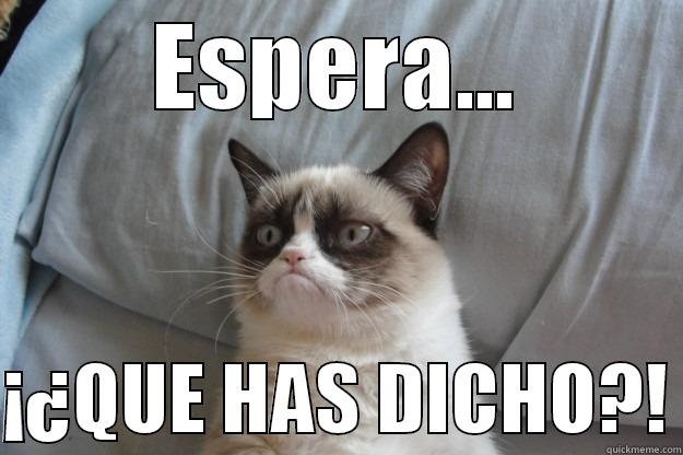 Grumpy cat quiere venganza - ESPERA...  ¡¿QUE HAS DICHO?! Grumpy Cat