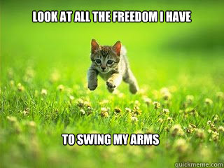 Look at all the freedom I have to swing my arms  Excited Kitten