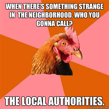 When there's something strange in  the neighborhood. Who You gonna call? The local authorities.  Anti-Joke Chicken