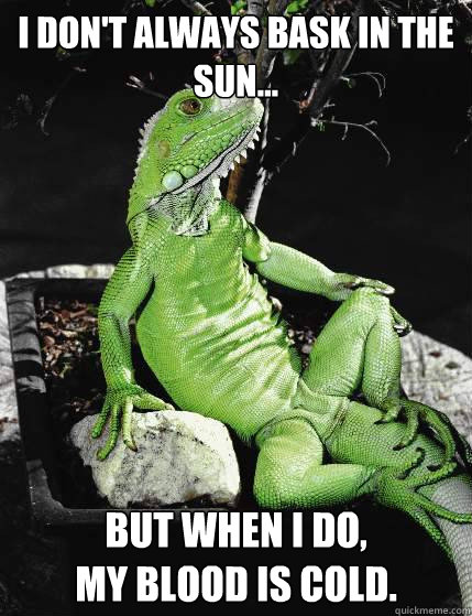 I don't always bask in the sun... but when I do,
my blood is cold. - I don't always bask in the sun... but when I do,
my blood is cold.  The most interesting lizard in the world