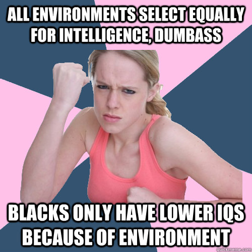 all environments select equally for intelligence, dumbass blacks only have lower iqs because of environment  Social Justice Sally