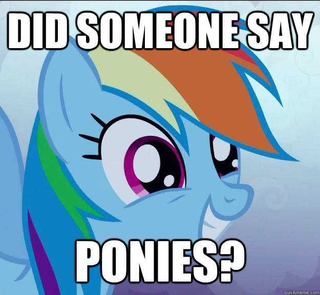 did someone say ponies? - did someone say ponies?  Rainbow Dash DO WANT