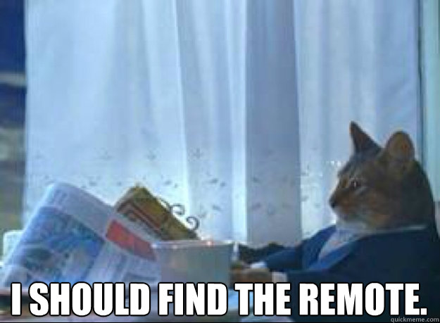 I should find the remote.   I should buy a boat cat