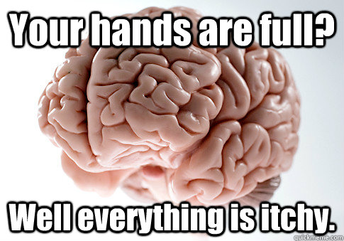 Your hands are full? Well everything is itchy.   Scumbag Brain