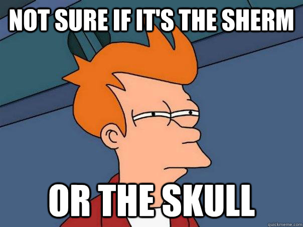 Not sure if It's the sherm Or the skull - Not sure if It's the sherm Or the skull  Futurama Fry