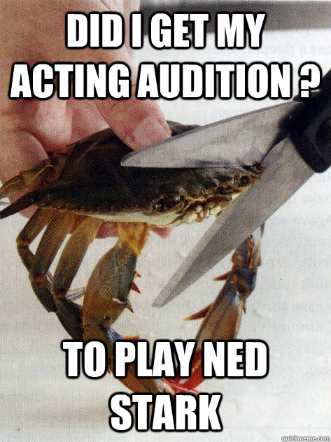 did i get my acting audition ? to play ned stark  Optimistic Crab