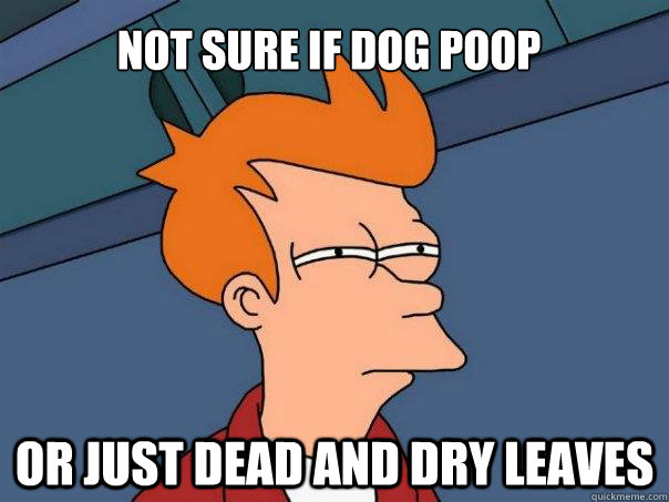 not sure if dog poop or just dead and dry leaves - not sure if dog poop or just dead and dry leaves  Futurama Fry