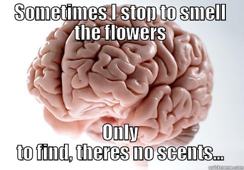 SOMETIMES I STOP TO SMELL THE FLOWERS ONLY TO FIND, THERES NO SCENTS... Scumbag Brain