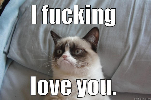 I FUCKING LOVE YOU. Grumpy Cat