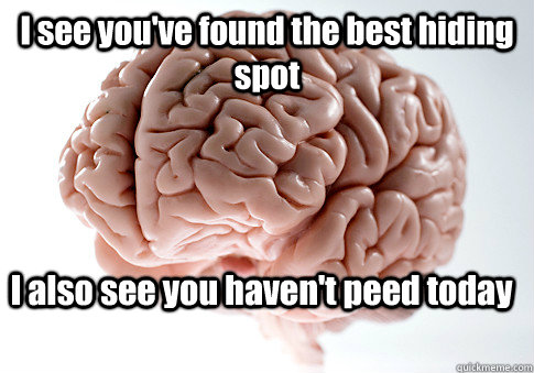 I see you've found the best hiding spot I also see you haven't peed today - I see you've found the best hiding spot I also see you haven't peed today  Scumbag Brain