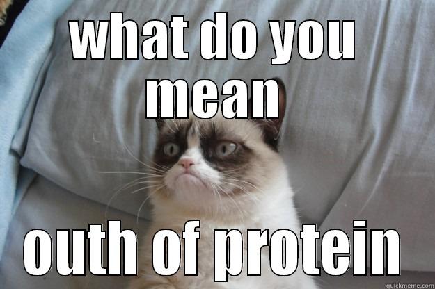 WHAT DO YOU MEAN OUTH OF PROTEIN Grumpy Cat