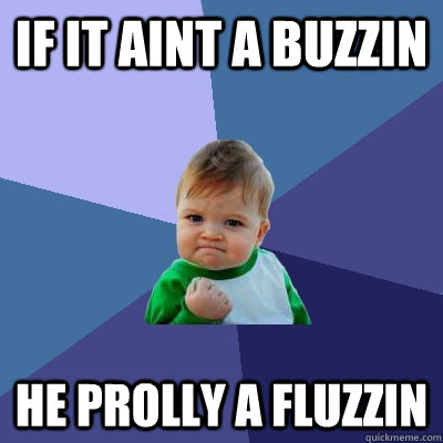 if it aint a buzzin he prolly a fluzzin  Success Kid