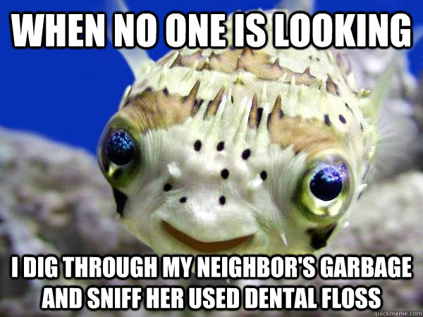 when no one is looking i dig through my neighbor's garbage and sniff her used dental floss  Pervert Pufferfish