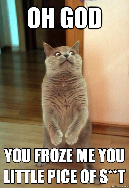 Oh God you froze me you little pice of s**t  Horrorcat