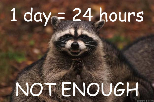 1 day = 24 hours NOT ENOUGH - 1 day = 24 hours NOT ENOUGH  Evil Plotting Raccoon