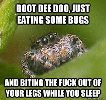 Doot dee doo, just eating some bugs and biting the fuck out of your legs while you sleep  Misunderstood Spider