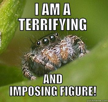 I AM A TERRIFYING AND IMPOSING FIGURE! Misunderstood Spider