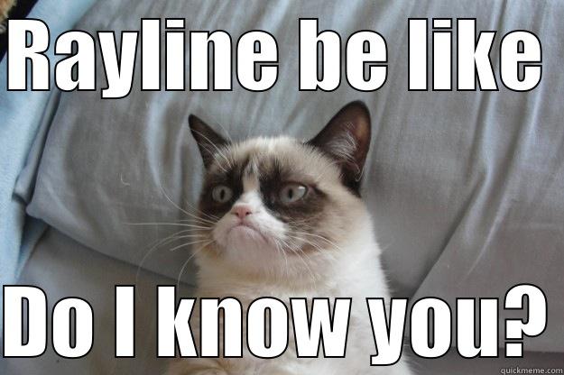 RAYLINE BE LIKE DO I KNOW YOU? Grumpy Cat