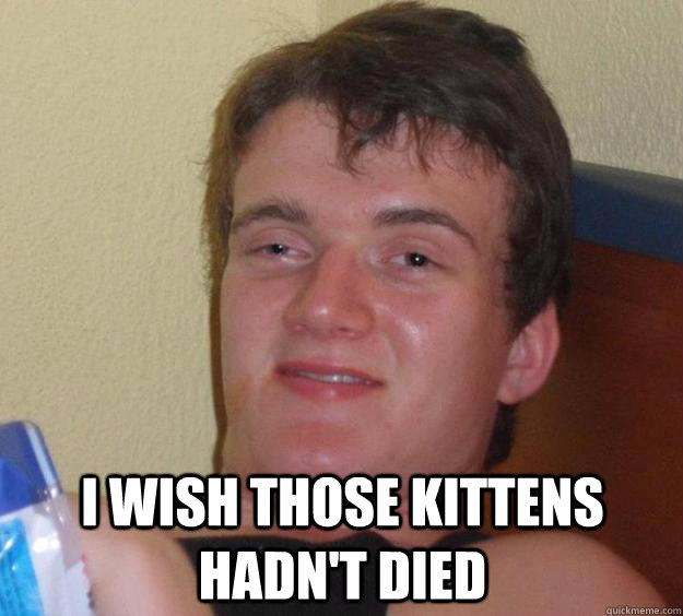  I wish those kittens hadn't died  10 Guy