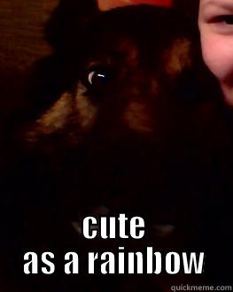  CUTE AS A RAINBOW Misc