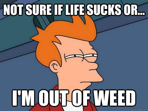 Not sure if life sucks or... i'm out of weed  Futurama Fry