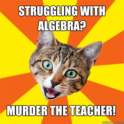 Struggling With Algebra? Murder the Teacher!  Bad Advice Cat