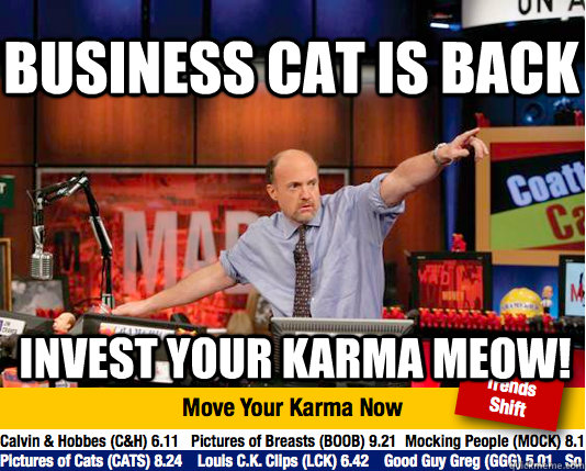 Business cat is back invest your karma meow! - Business cat is back invest your karma meow!  Mad Karma with Jim Cramer