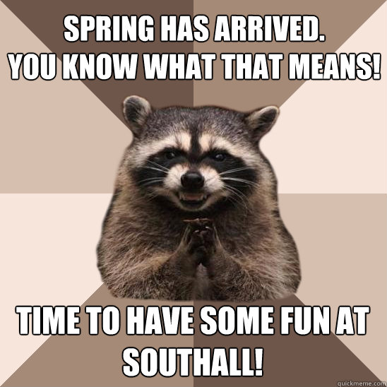 Spring has arrived.
You know what that means! Time to have some fun at Southall!  Evil Plotting Raccoon