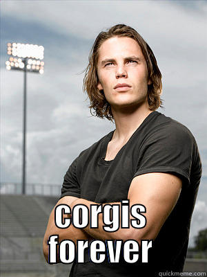 corgis forever -  CORGIS FOREVER Misc