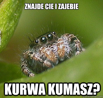 Znajde cie i zajebie KURWA KUMASZ?  Misunderstood Spider