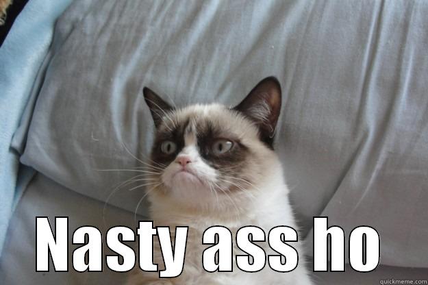  NASTY ASS HO Grumpy Cat