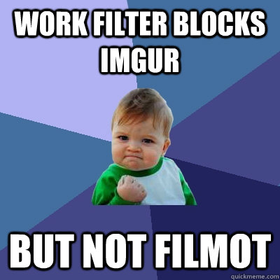 Work filter blocks imgur but not filmot  Success Kid