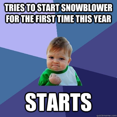 Tries to start snowblower for the first time this year Starts - Tries to start snowblower for the first time this year Starts  Success Kid