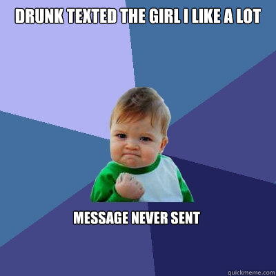 Drunk texted the girl I like a lot message never sent  Success Kid