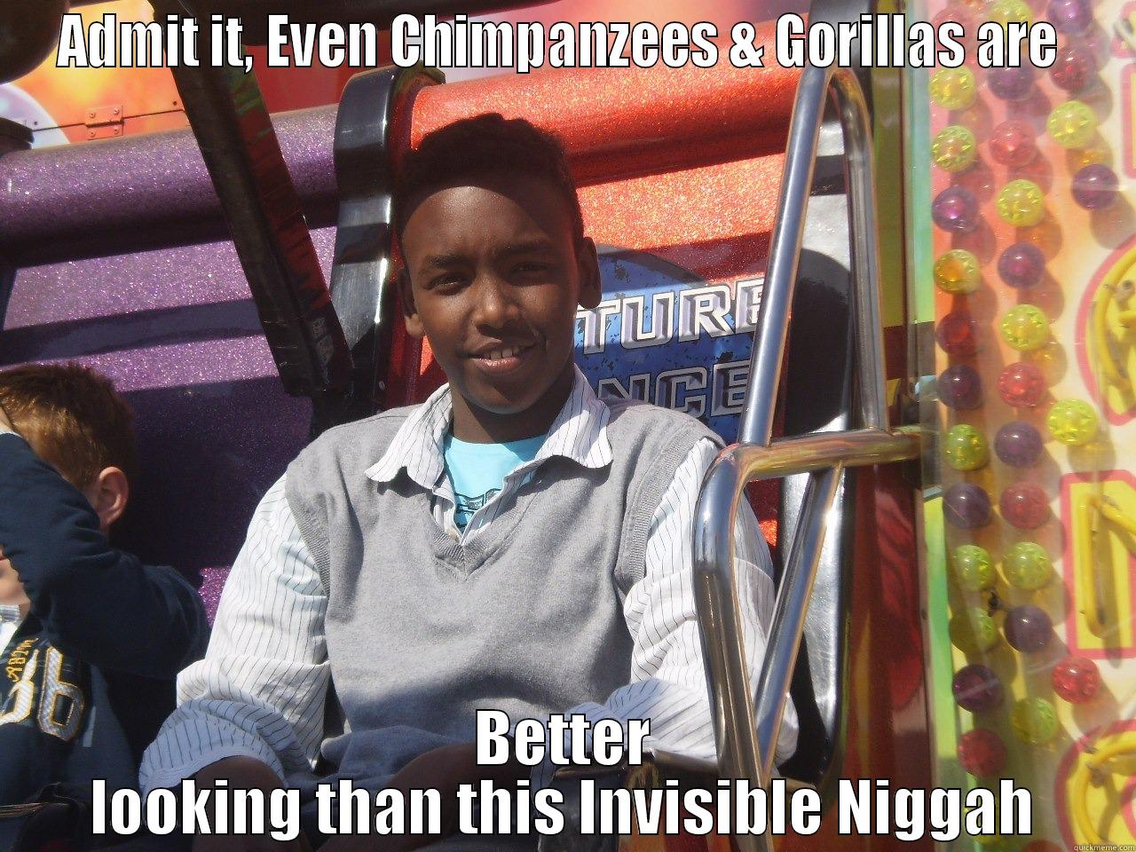 ADMIT IT, EVEN CHIMPANZEES & GORILLAS ARE  BETTER LOOKING THAN THIS INVISIBLE NIGGAH Misc