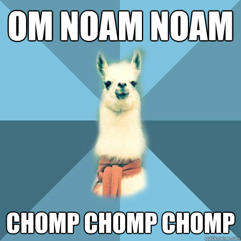 OM NOAM NOAM chomp chomp chomp  - OM NOAM NOAM chomp chomp chomp   Linguist Llama
