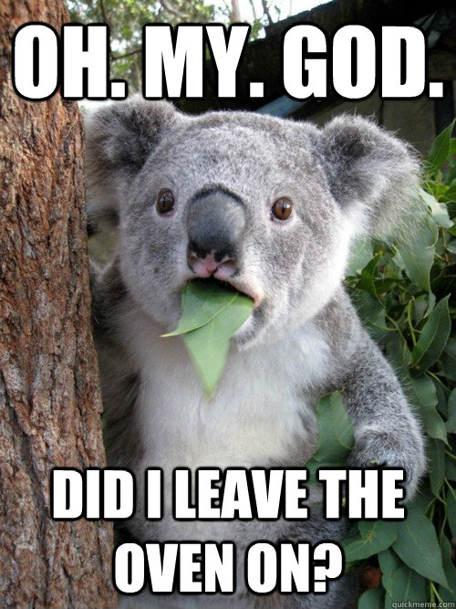 OH. MY. GOD. Did i leave the oven on? - OH. MY. GOD. Did i leave the oven on?  koala bear